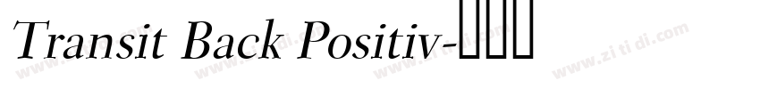 Transit Back Positiv字体转换